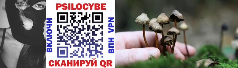 Галлюциногенные грибы Psilocybe  Нестеровская 